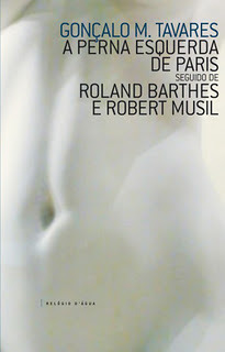 A Perna Esquerda de Paris seguido de Roland Barthes e Robert Musil book cover
