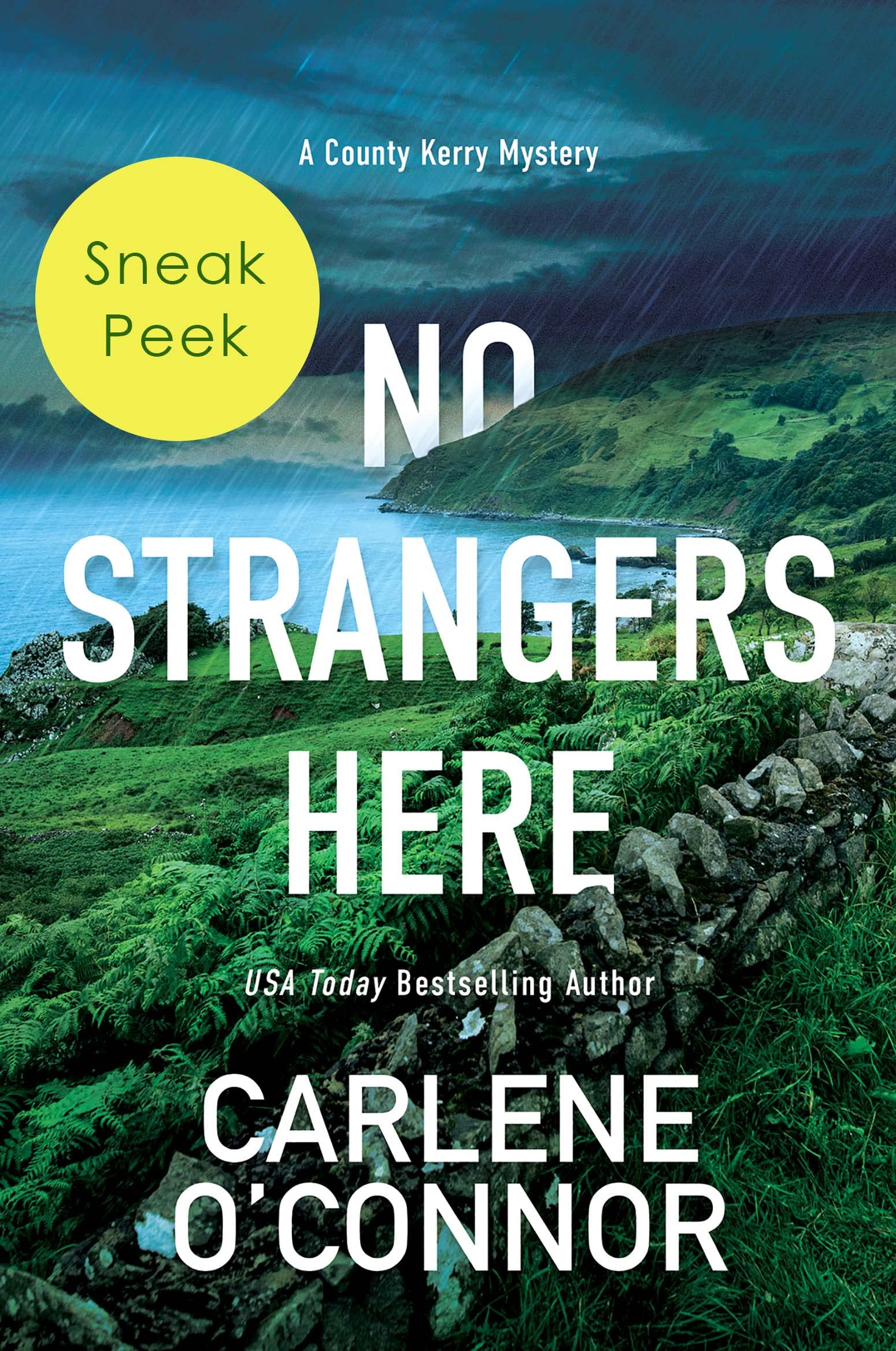No Strangers Here book cover