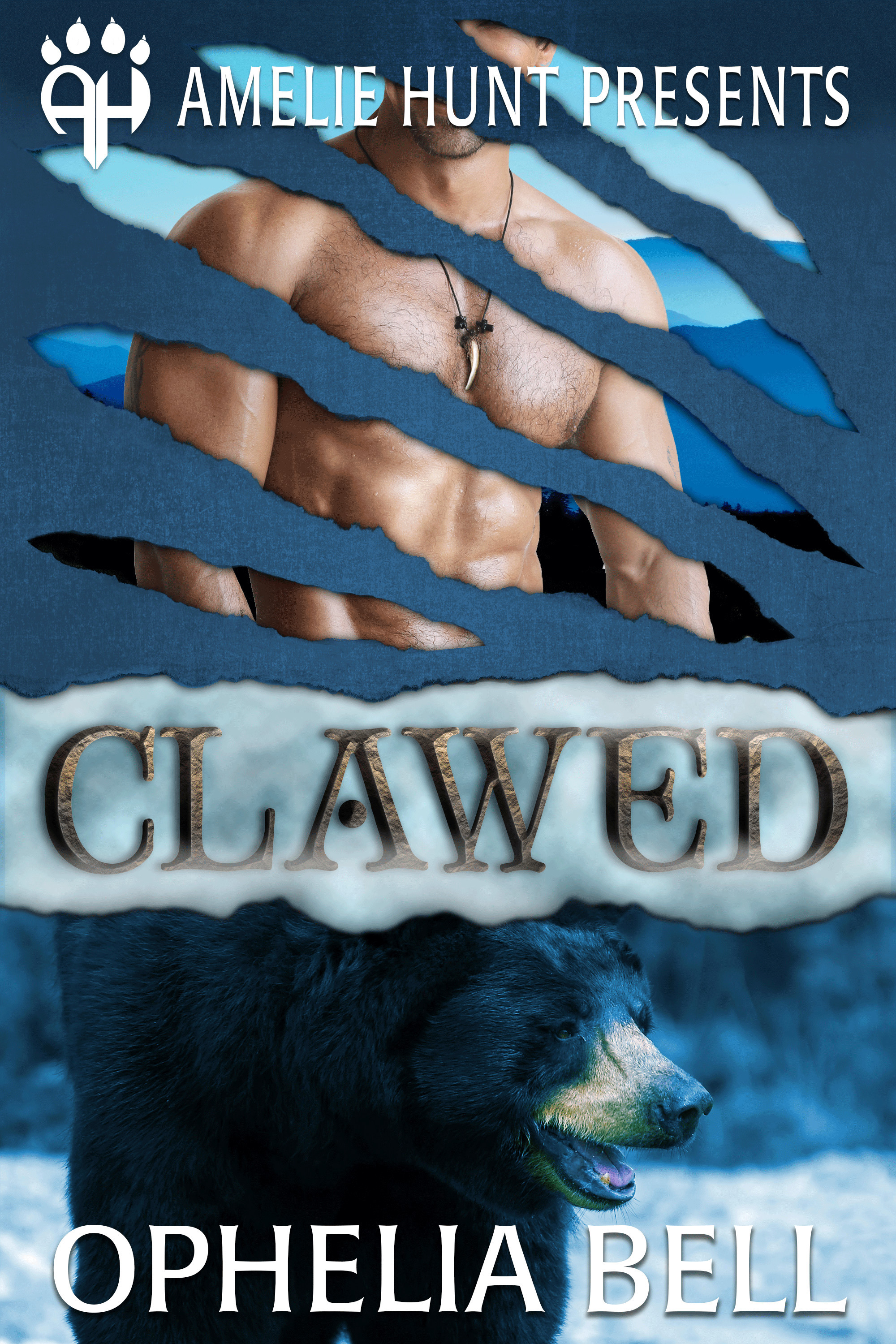 Black Mountain Bears book cover 1