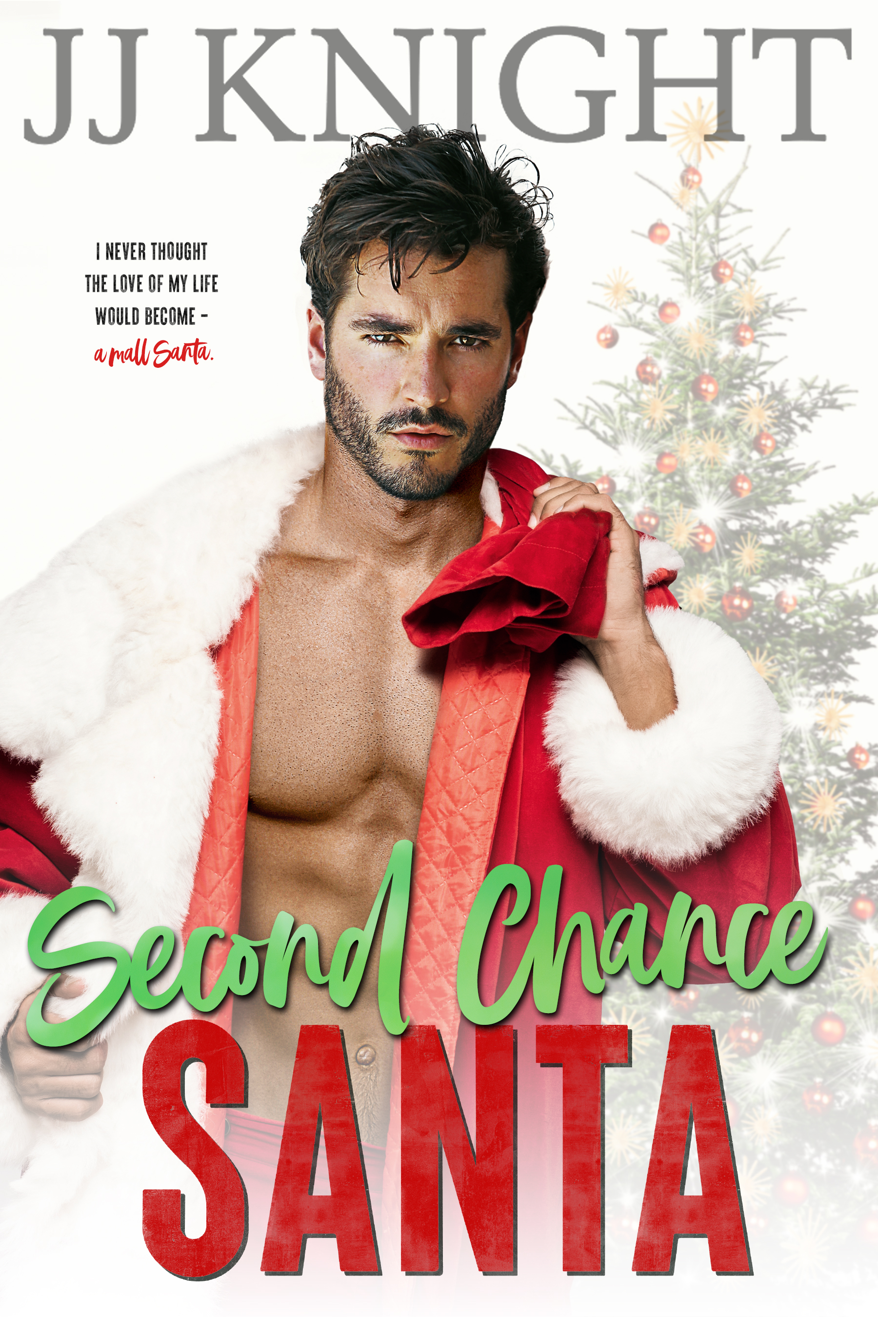 Second Chance Santa book cover