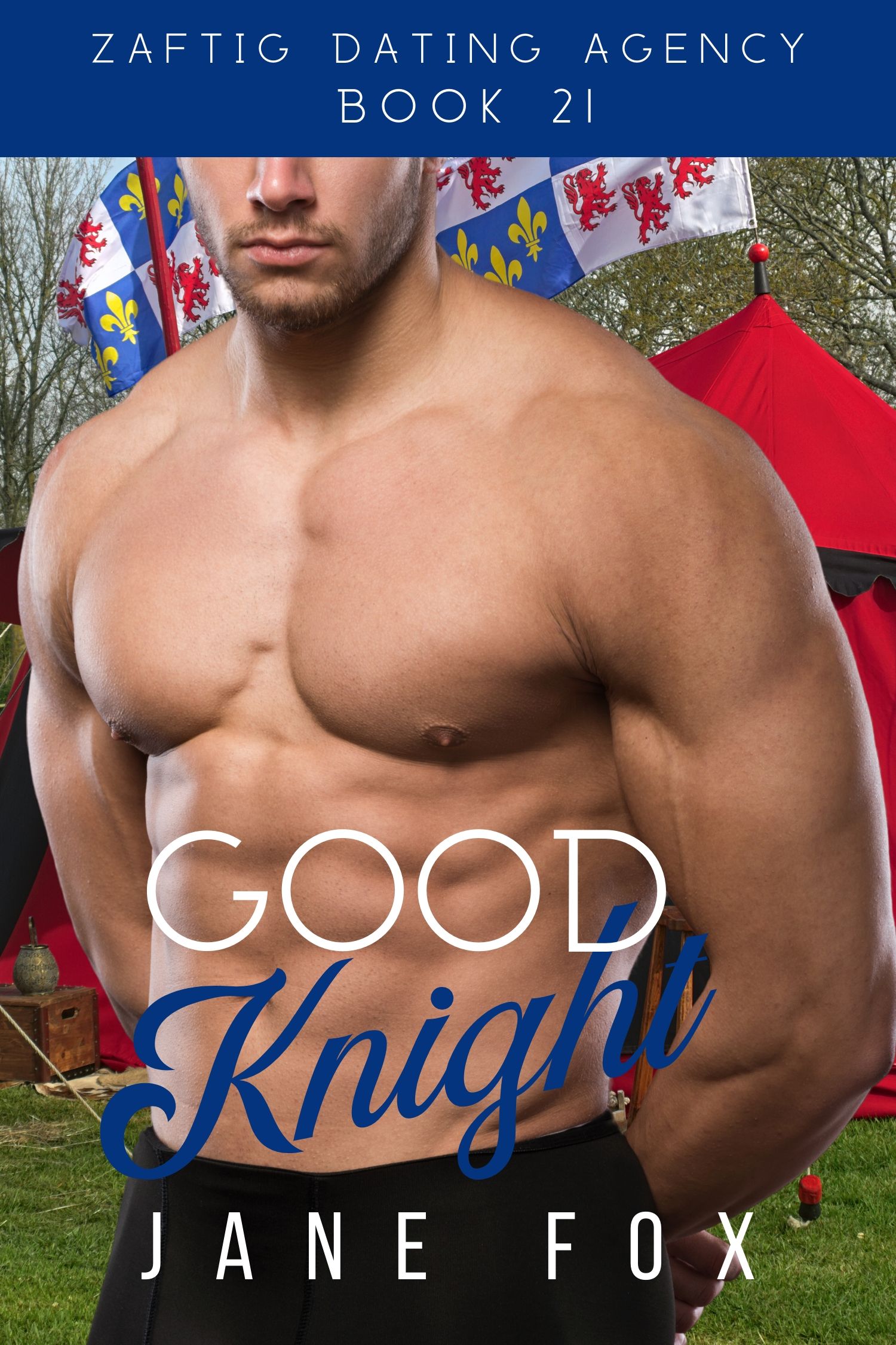 Good Knight book cover