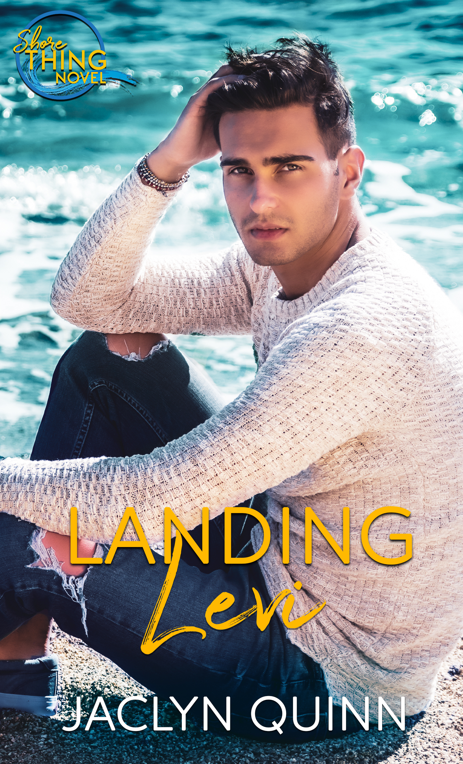 Shore Thing book cover 2