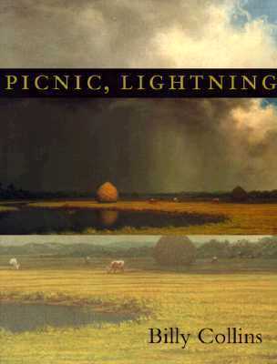 Picnic, Lightning book cover