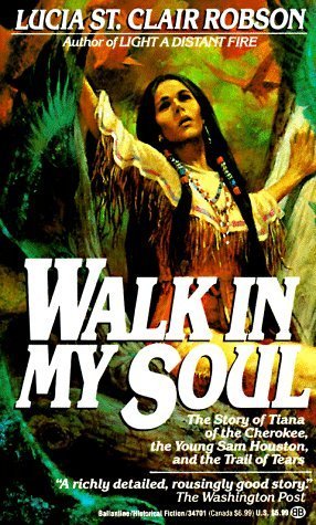 Walk in My Soul book cover
