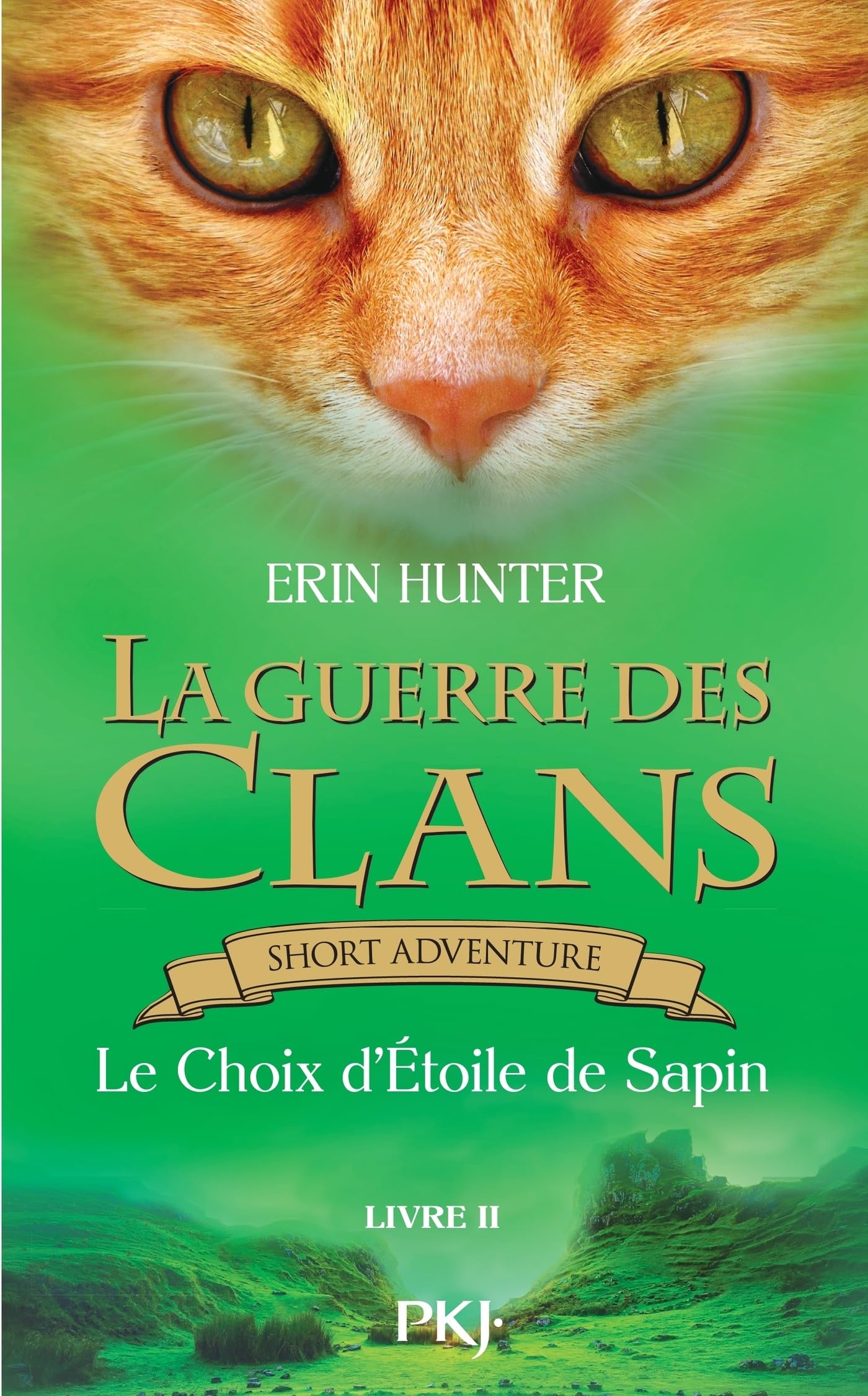 Pinestar's Choice book cover