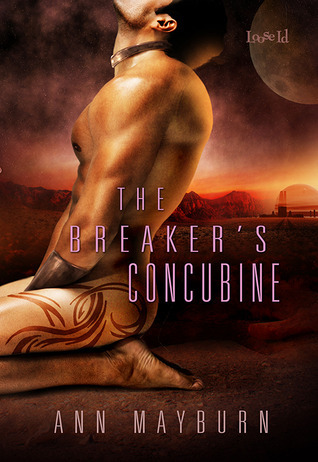 The Breaker's Concubine book cover