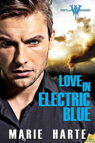 Westlake Enterprises book cover 3