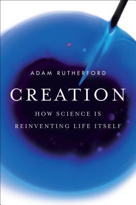 Creation book cover