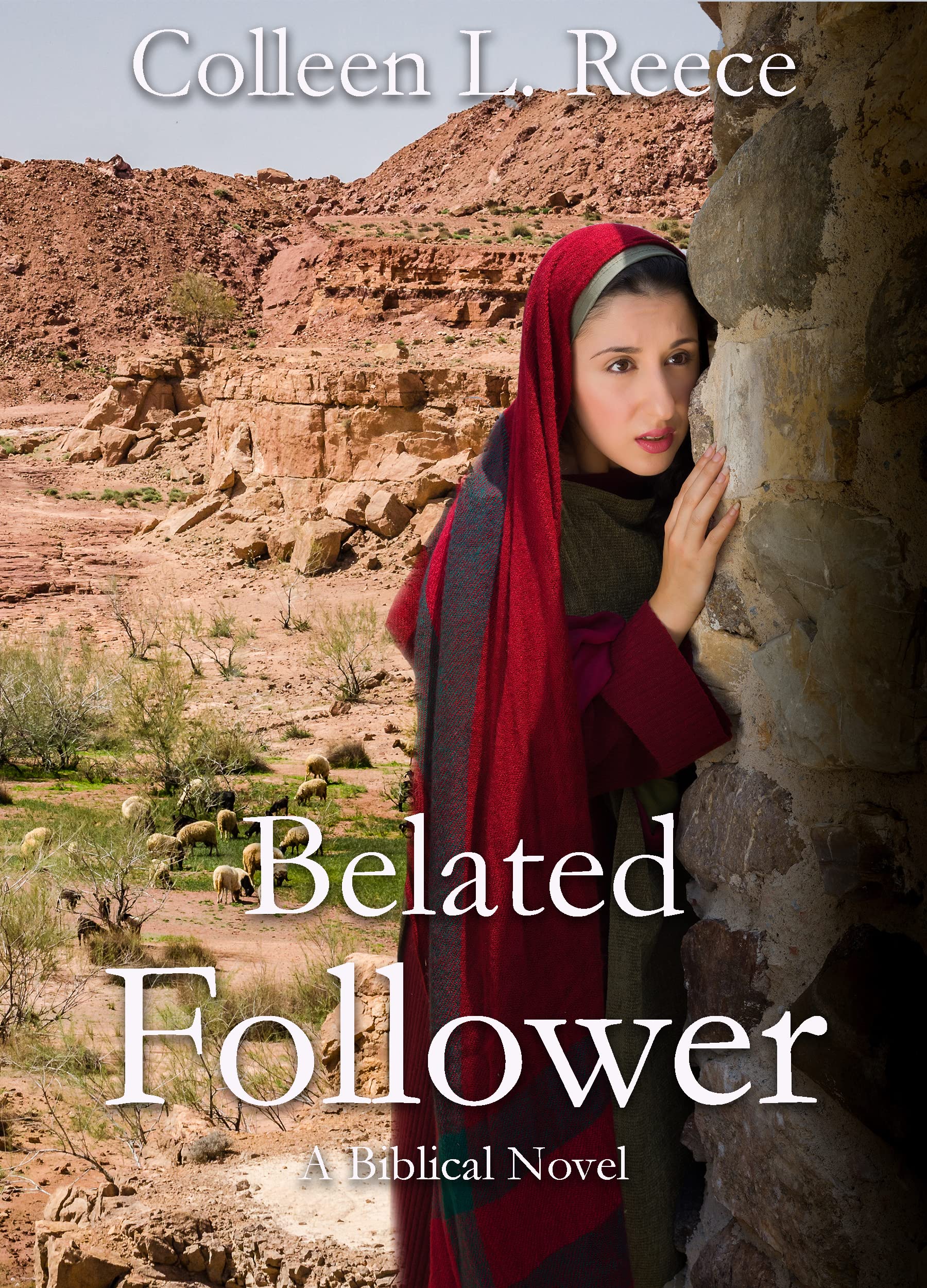 Belated Follower book cover