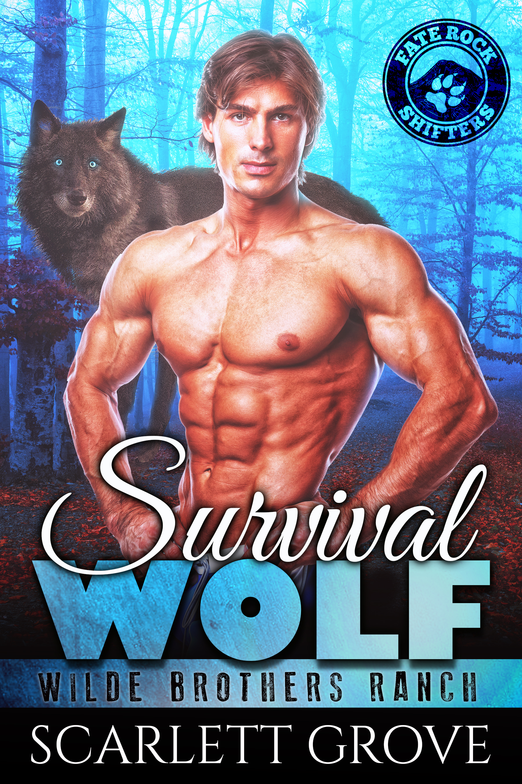 Wilde Brothers Ranch book cover 2