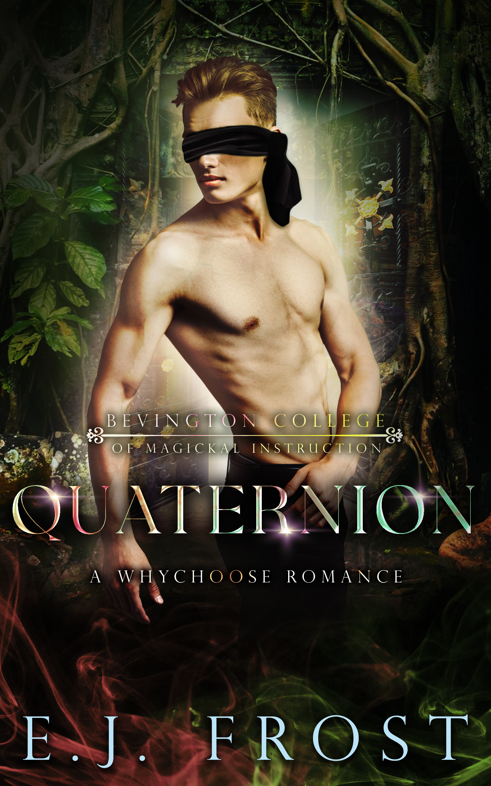 Bad Boys of Bevington book cover 3