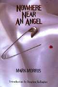 Nowhere Near an Angel book cover