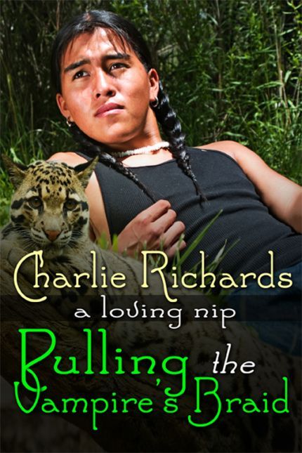 Pulling the Vampire's Braid book cover