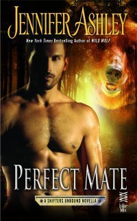 Perfect Mate book cover