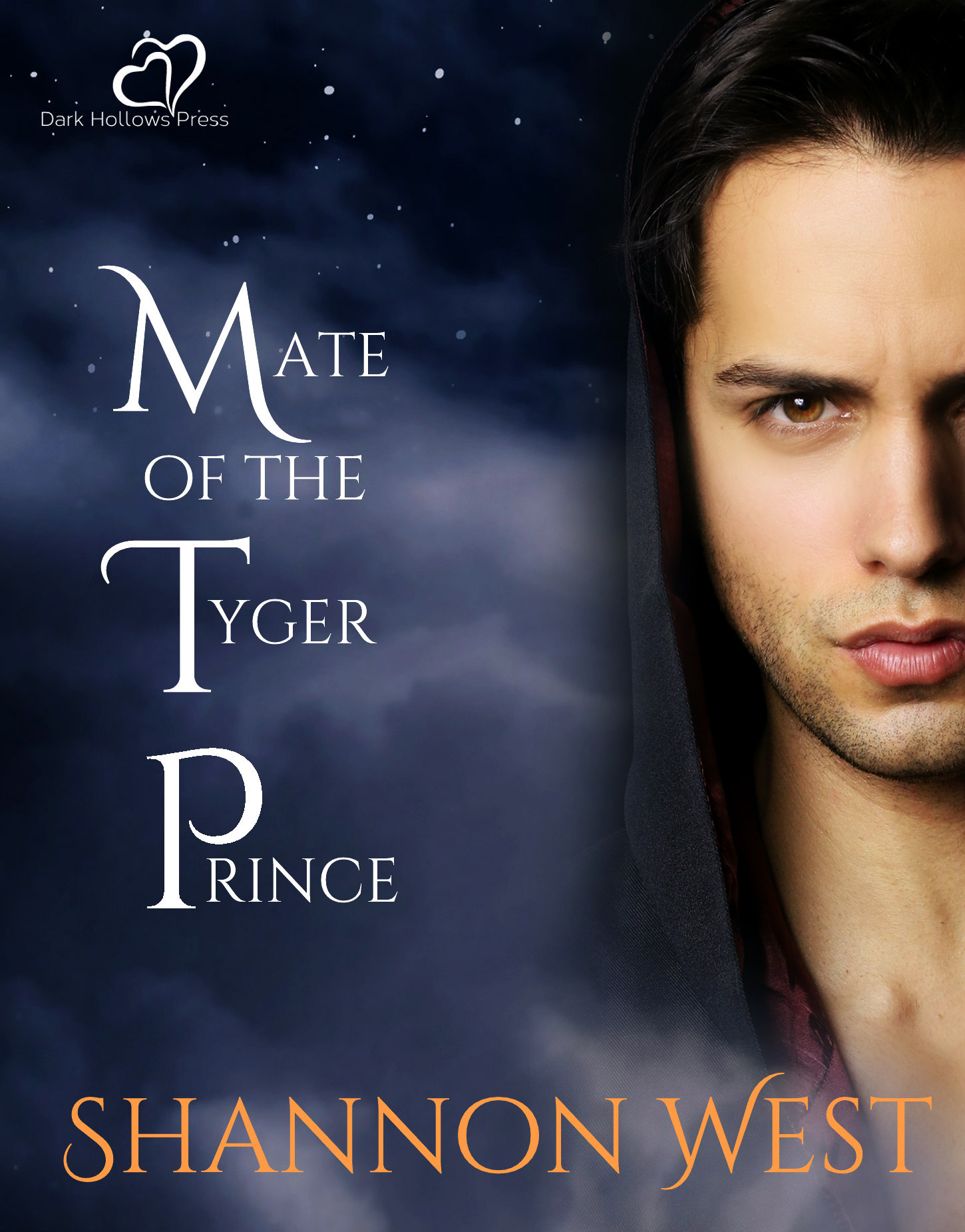 Mate of the Tyger Prince book cover 1