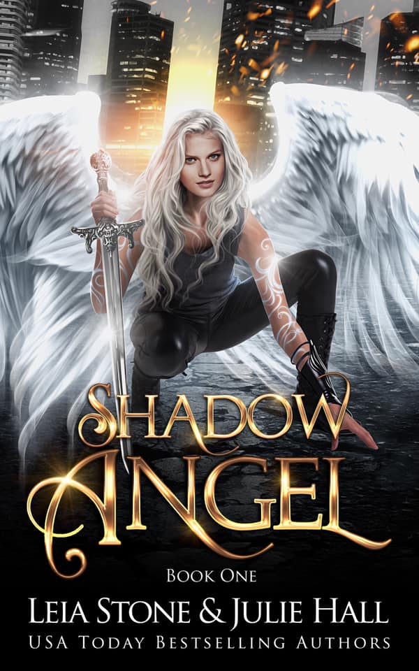 Shadow Angel book cover 1