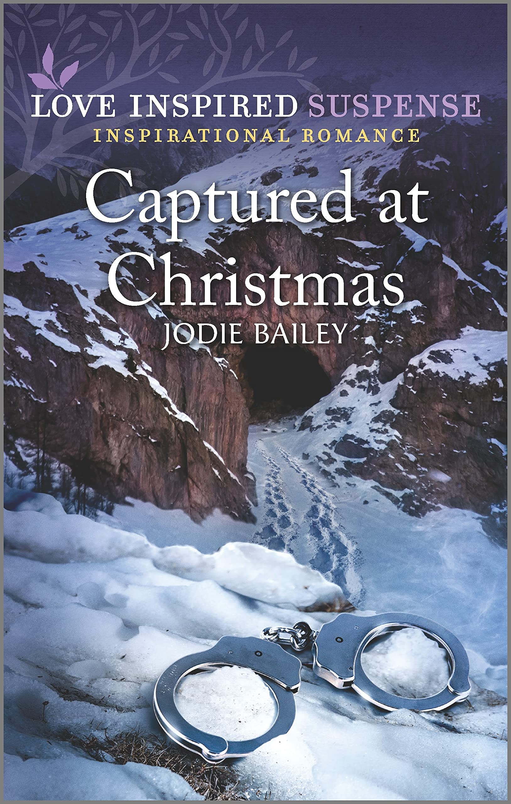 Captured at Christmas book cover