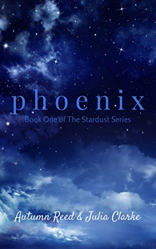 Stardust book cover 1