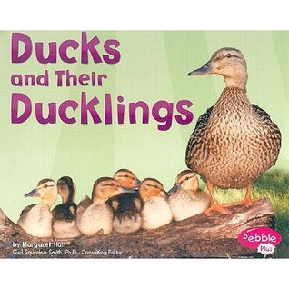 Ducks and Their Ducklings book cover