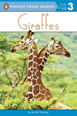 Giraffes book cover