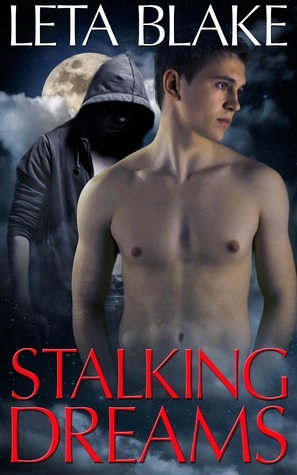 Stalking Dreams book cover