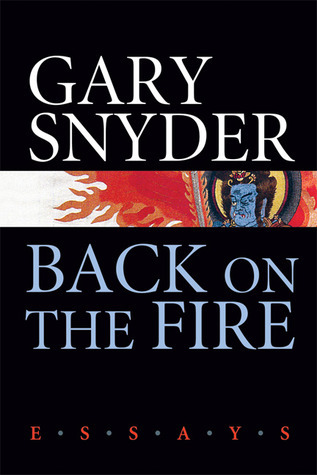 Back on the Fire book cover