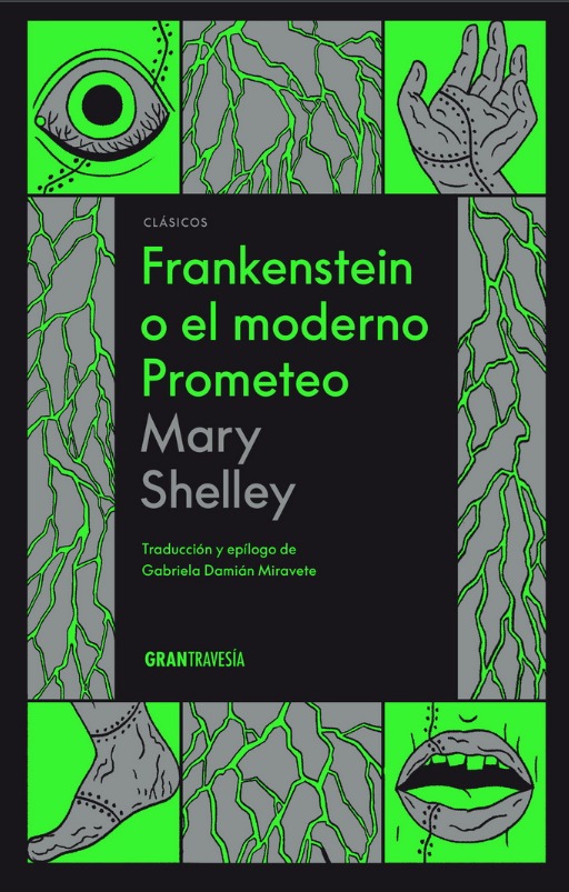 Frankenstein o el moderno Prometeo book cover