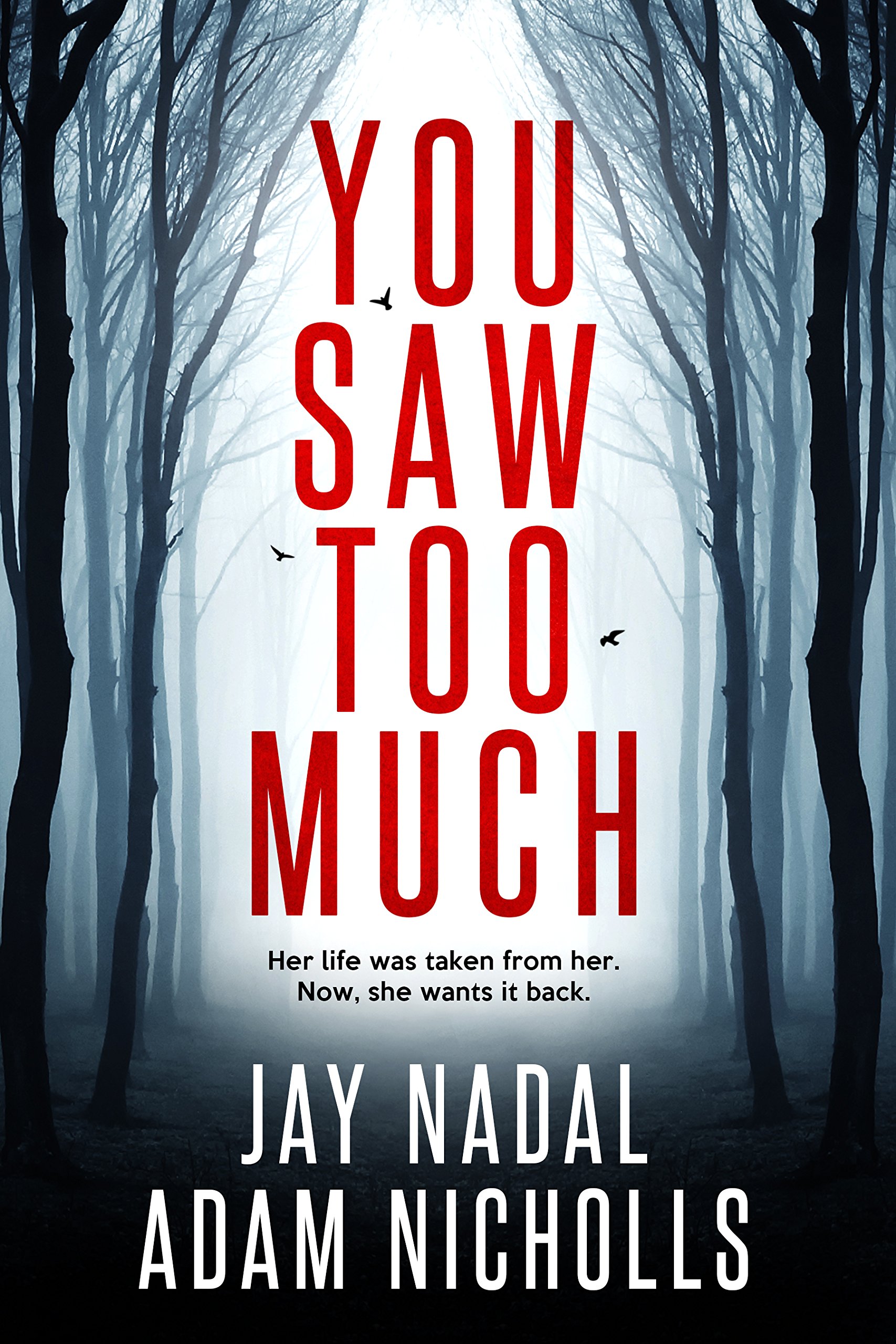 You Saw Too Much book cover