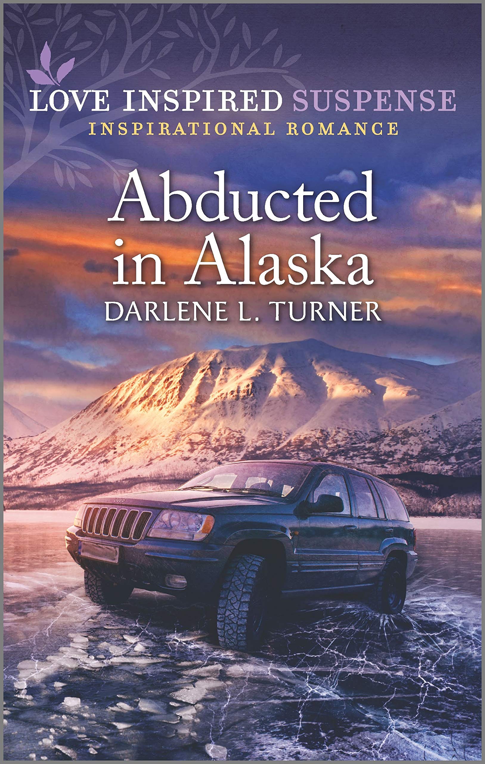 Abducted in Alaska book cover