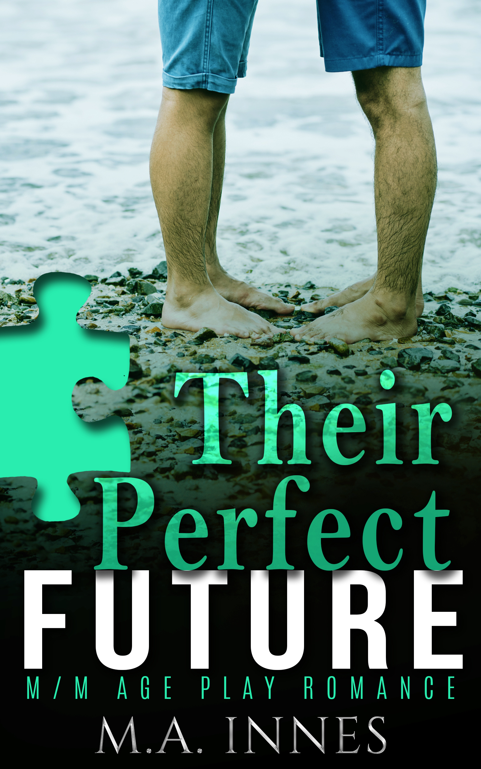 Their Perfect Future book cover