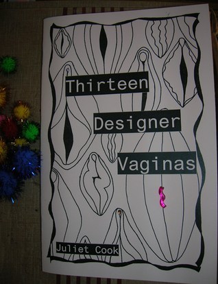 Thirteen Designer Vaginas book cover