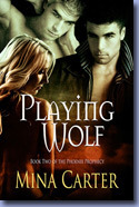 Phoenix Prophecy book cover 2