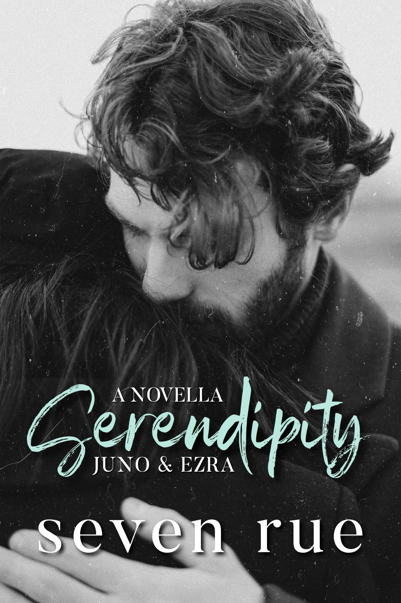 Serendipity book cover