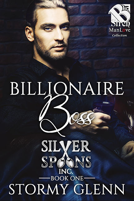 Silver Spoons Inc. book cover 1