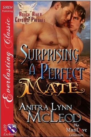 Surprising a Perfect Mate book cover