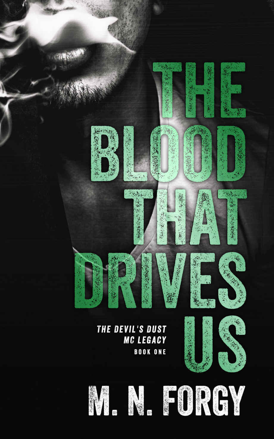 The Devils Dust MC Legacy book cover 1
