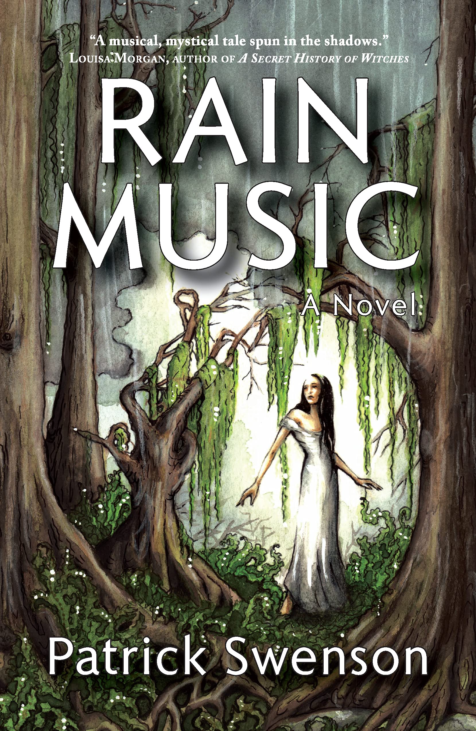Rain Music book cover