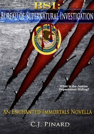 BSI book cover
