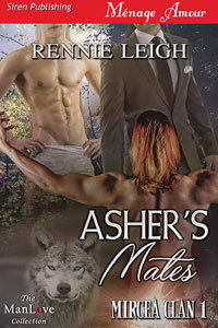 Mircea Clan book cover 1