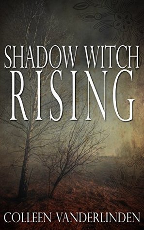 Copper Falls book cover 1