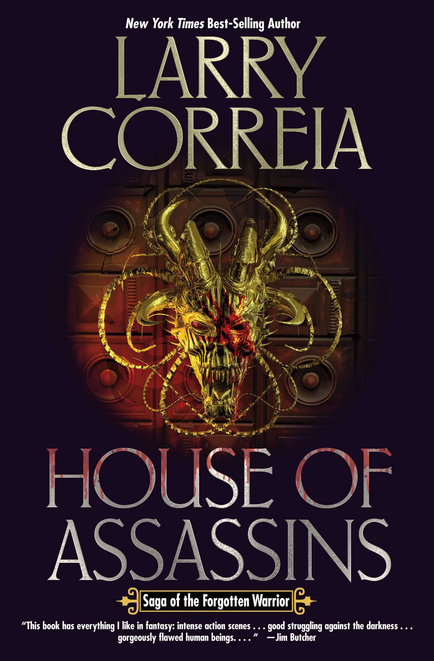 Saga of the Forgotten Warrior book cover 2