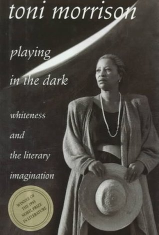 Playing in the Dark book cover