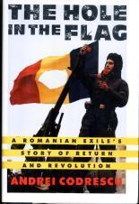 The Hole in the Flag book cover