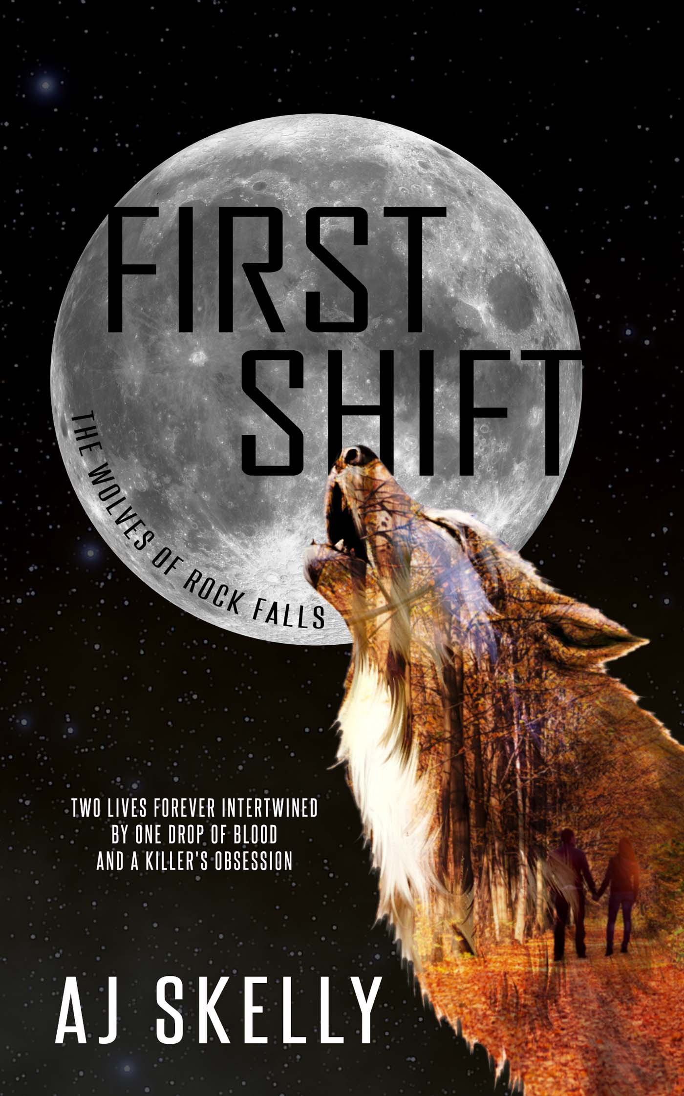 The Wolves of Rock Falls book cover 1