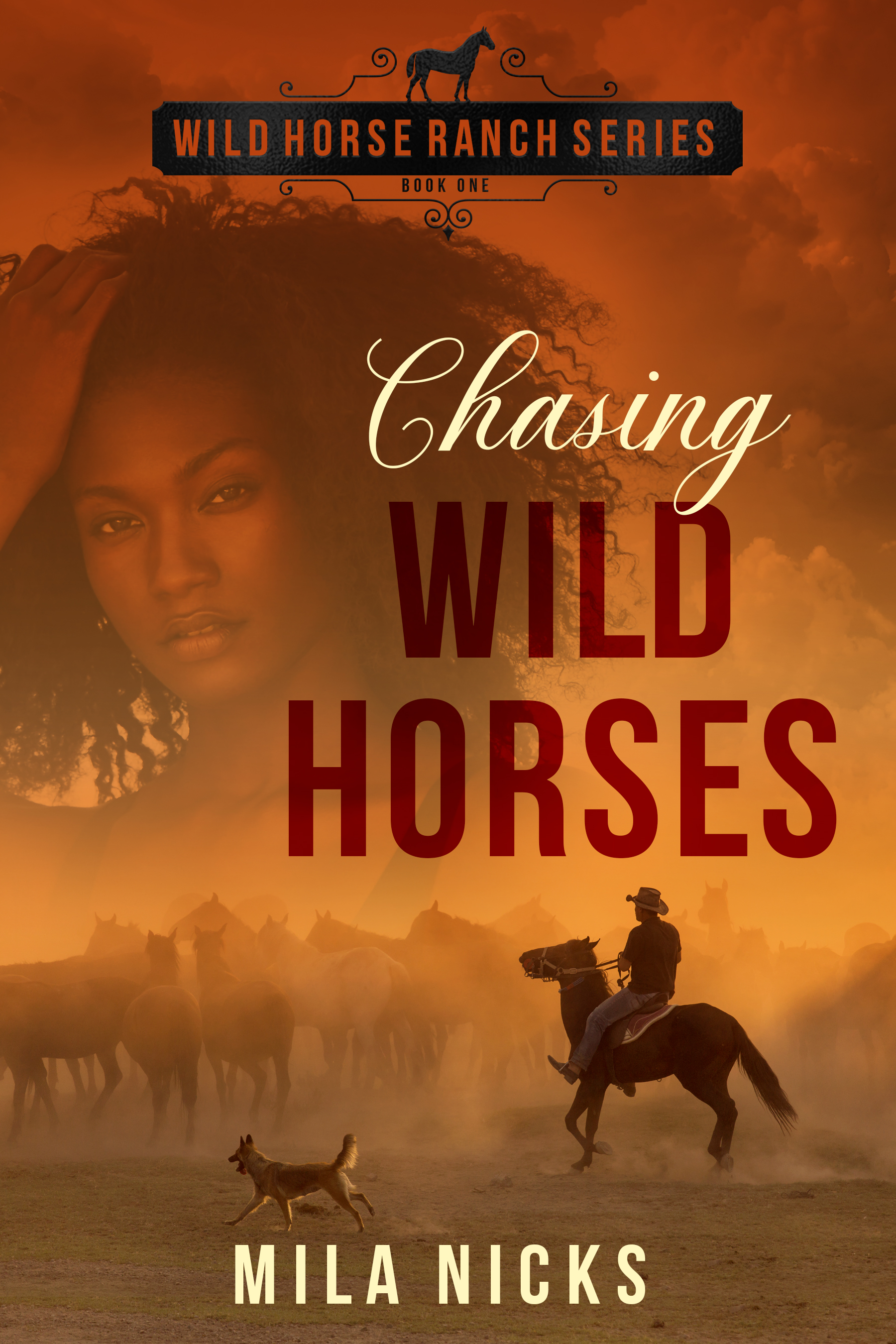 Wild Horse Ranch book cover 1