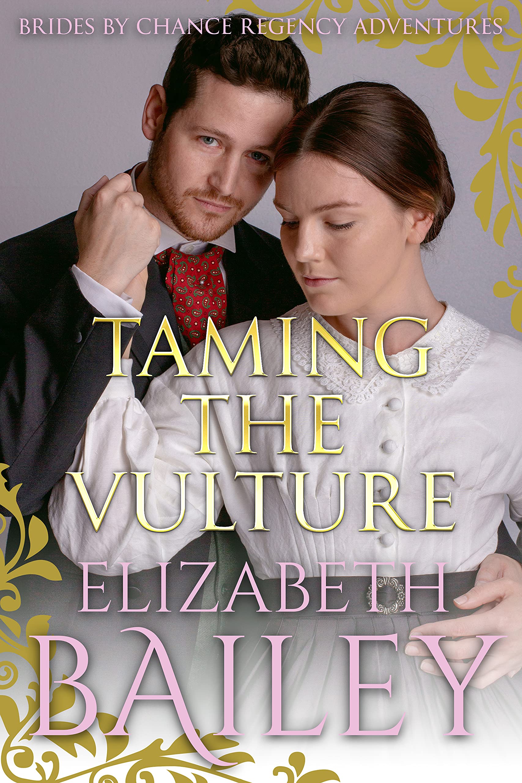 Taming The Vulture book cover
