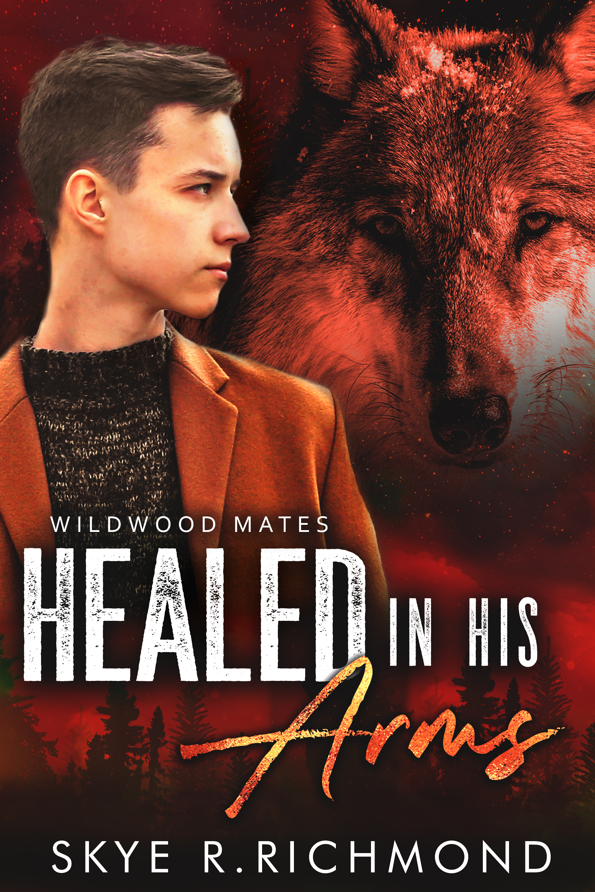 Healed In His Arms book cover