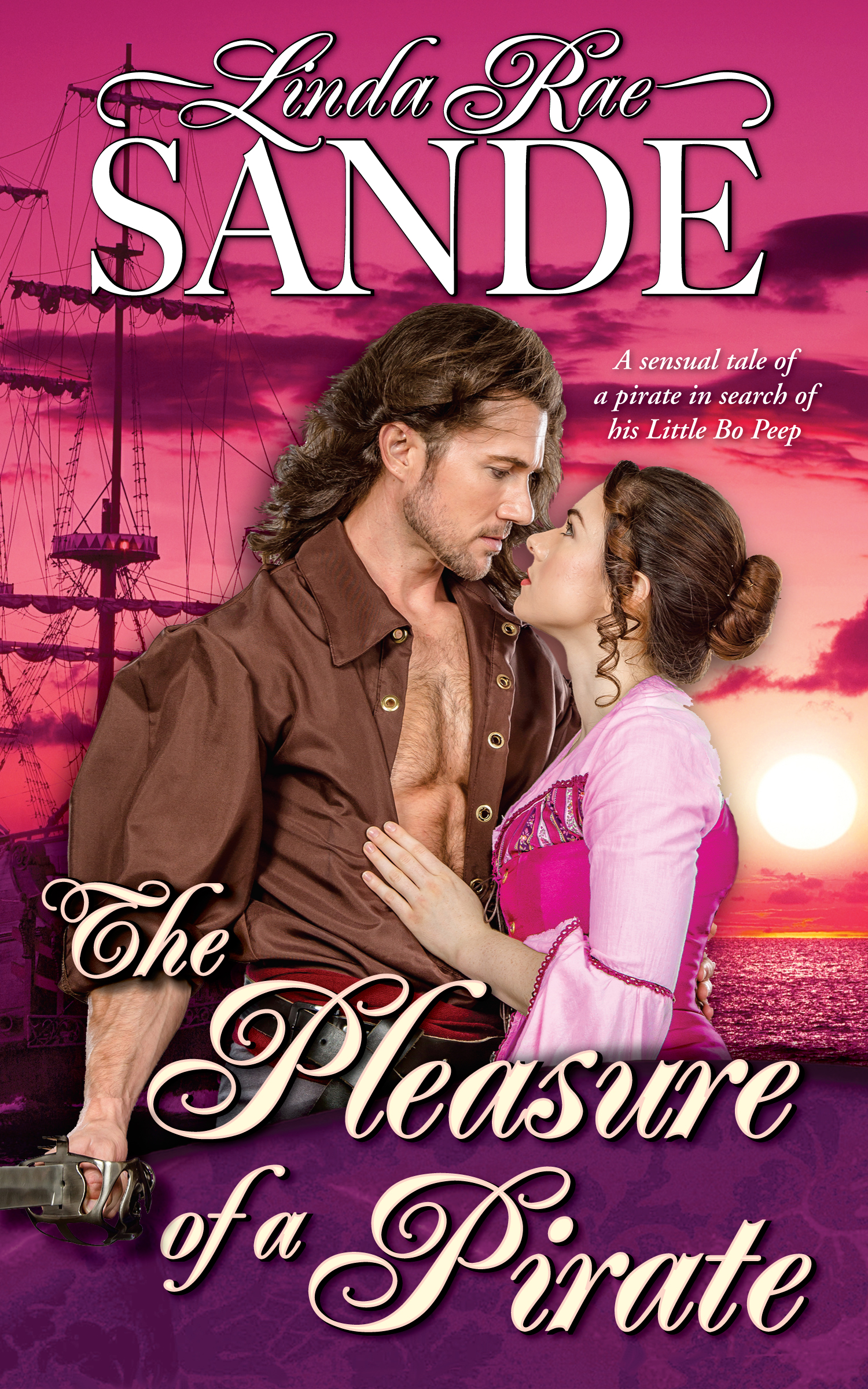 The Pleasure of a Pirate book cover