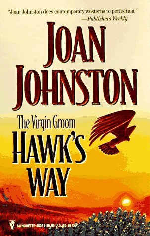 The Virgin Groom book cover