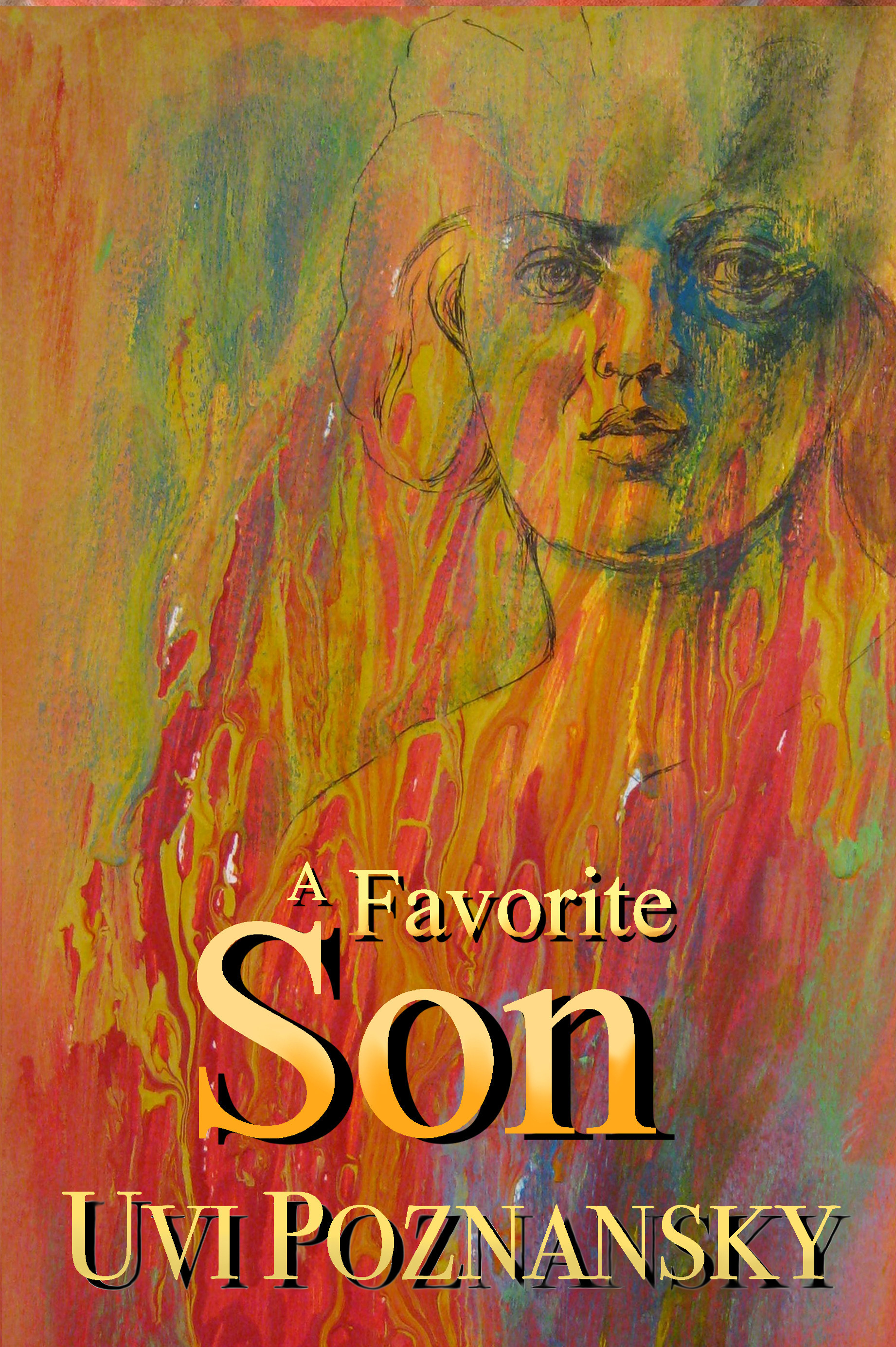 A Favorite Son book cover